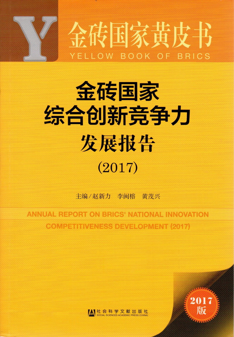 成年人艹艹艹B视频金砖国家综合创新竞争力发展报告（2017）